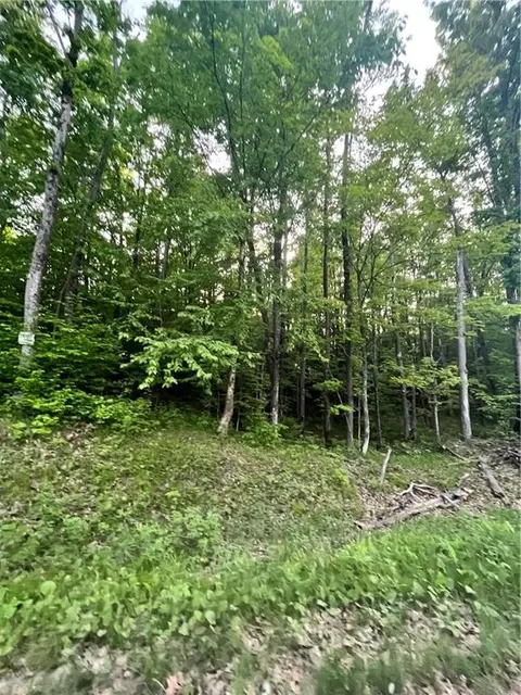 Lot 3 Universal Drive, Winter, WI 54896