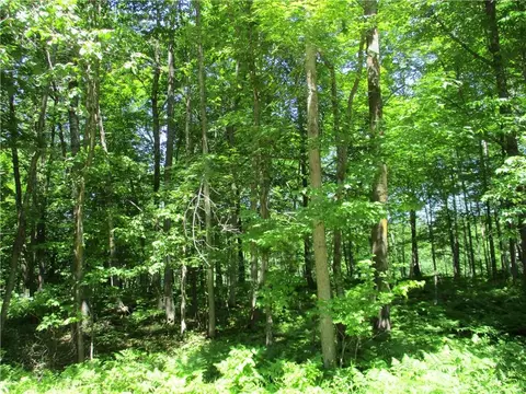 Lot #84 Maple Way, Birchwood, WI 54817