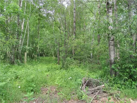 Lot 24 Bayfield Ct, Birchwood, WI 54817