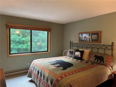 42910 Lakewoods Dr #209, Cable, WI 54821 photo 19