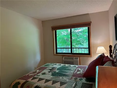 42910 Lakewoods Dr #209, Cable, WI 54821 photo 18