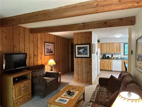 42910 Lakewoods Dr #209, Cable, WI 54821 photo 3