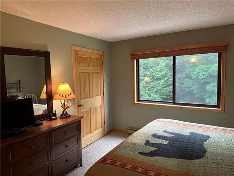 42910 Lakewoods Dr #209, Cable, WI 54821 photo 20