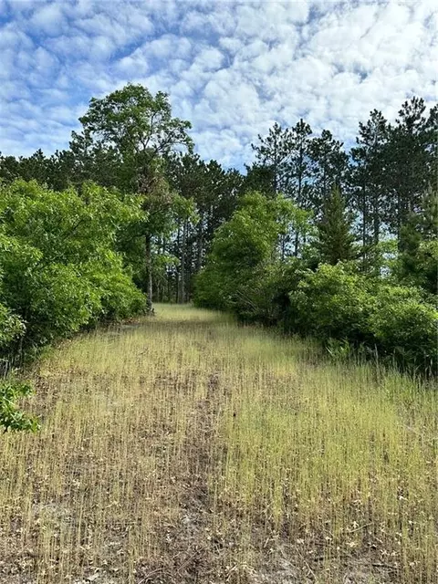 40 Acres Skunk Lake Rd, Spooner, WI 54801