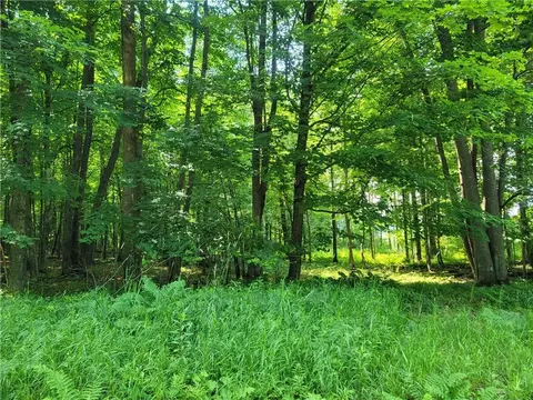00 Pleasant View Trl, New Auburn, WI 54757