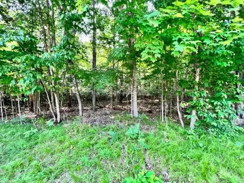 0 Big Wolf Is #LOT 65, Hayward, WI 54843