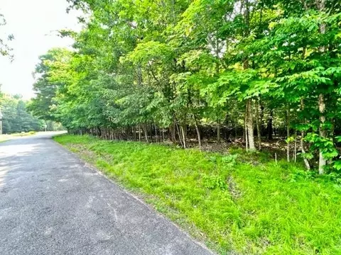 0 Big Wolf Is #LOT 66, Hayward, WI 54843