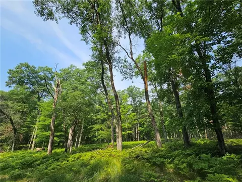 Nn E Bass Lake Road, Danbury, WI 54830