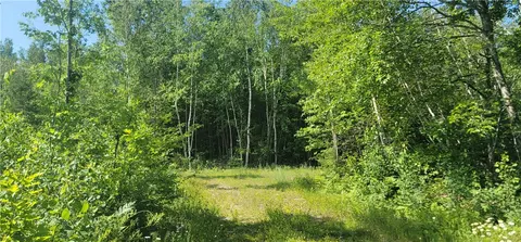 Nnn Larsen Road, Hayward, WI 54843