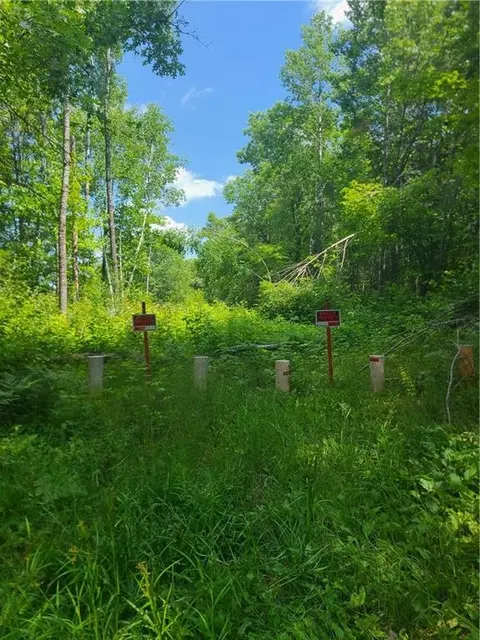 Undisclosed, Bruce, WI 54819 photo 4