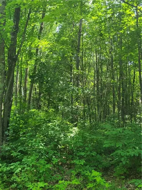 Undisclosed, Bruce, WI 54819