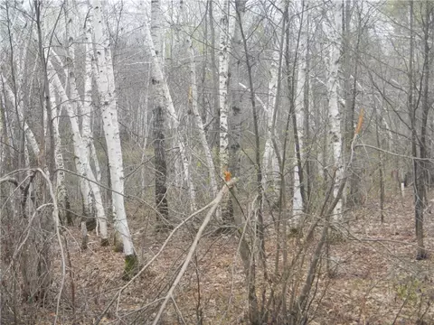 Undisclosed, Weirgor, WI 54835