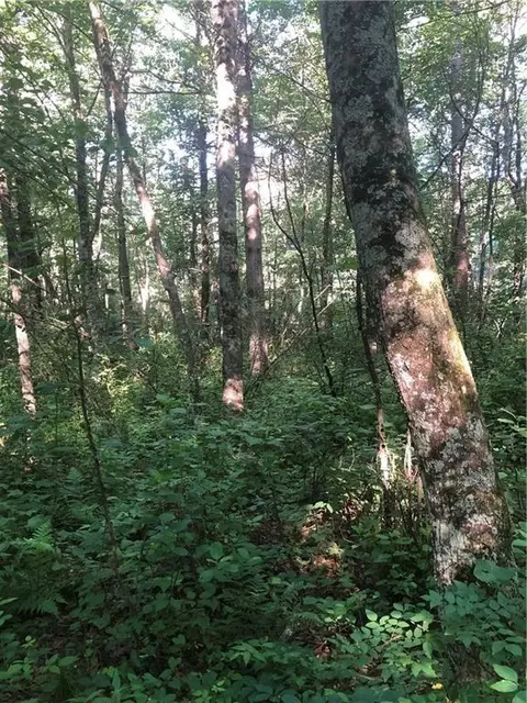 Lot 21 Waters Edge, Black River Falls, WI 54615