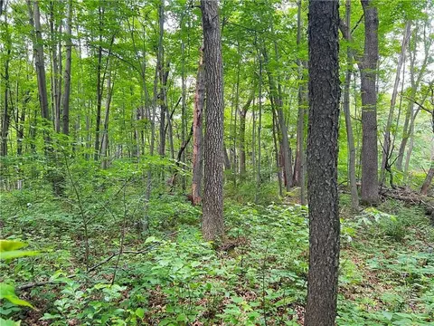0 Woodland Dr, Eau Claire, WI 54701