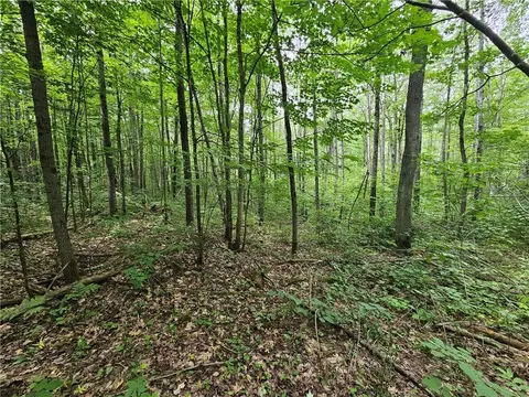 Lot 20 Mountain Bike Way, Hayward, WI 54843