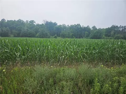 lot1 Sheptick Ln, Hayward, WI 54843