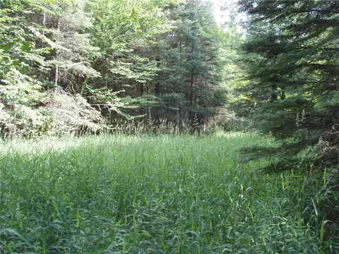 60 A On Mackenberg Rd, Glidden, WI 54527 photo 11