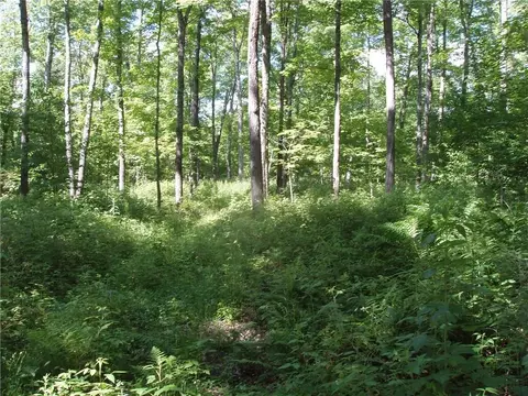 60 A On Mackenberg Rd, Glidden, WI 54527 photo 2