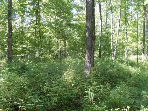 60 A On Mackenberg Rd, Glidden, WI 54527