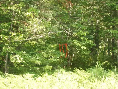 60 A On Mackenberg Rd, Glidden, WI 54527 photo 13