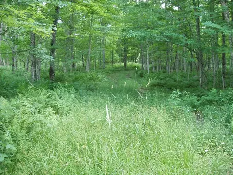 60 A On Mackenberg Rd, Glidden, WI 54527 photo 4