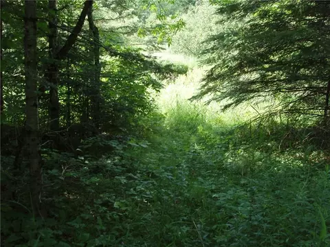 60 A On Mackenberg Rd, Glidden, WI 54527 photo 7