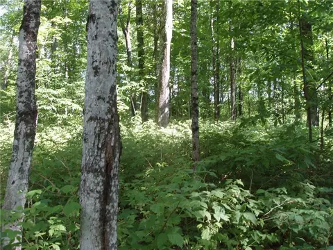 60 A On Mackenberg Rd, Glidden, WI 54527 photo 3