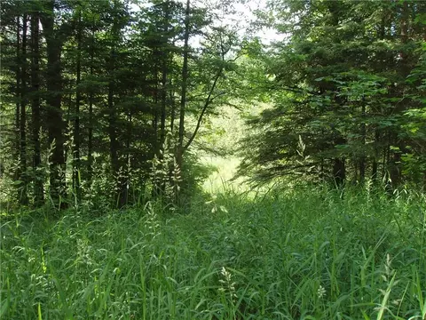 60 A On Mackenberg Rd, Glidden, WI 54527 photo 9
