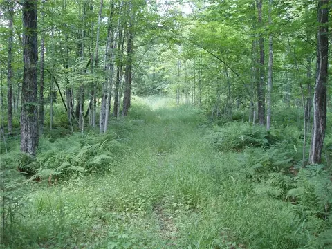 60 A On Mackenberg Rd, Glidden, WI 54527 photo 5