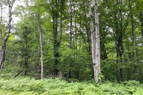 lot18 Tanglewood Ct, Cable, WI 54821