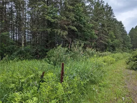 n6722n6748 N6730 Laverne Ln, Hawkins, WI 54530