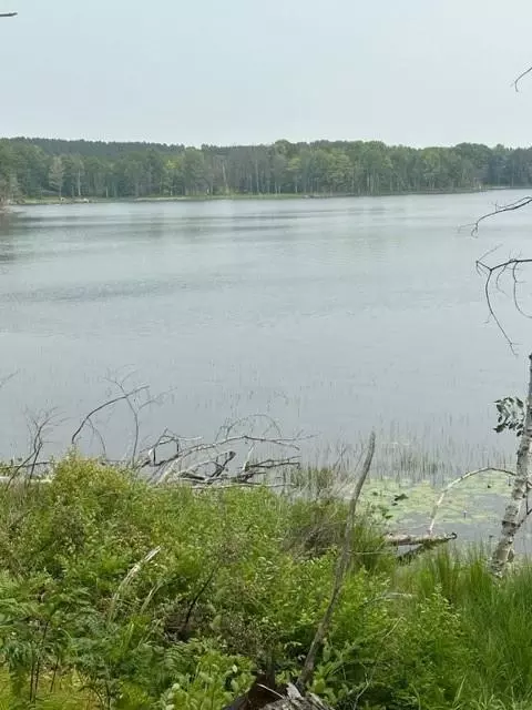 0 Off Of Perch Lake Rd, Winter, WI 54896