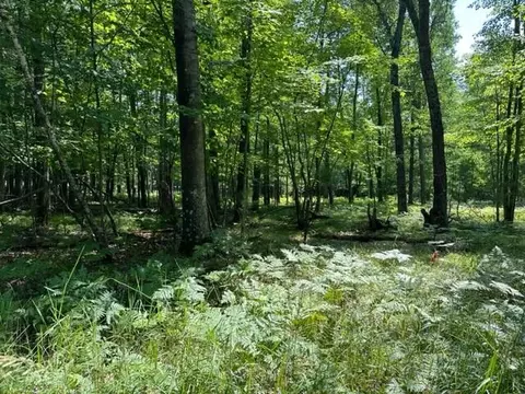 0000 Aspen Ter, Webster, WI 54893 photo 4