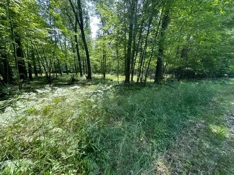 0000 Aspen Ter, Webster, WI 54893 photo 2