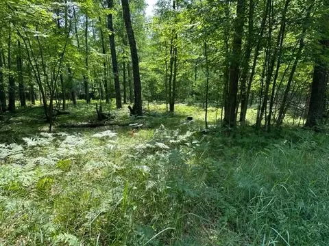 0000 Aspen Ter, Webster, WI 54893 photo 5