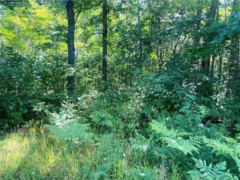 Nnn Lee Road, Webster, WI 54893