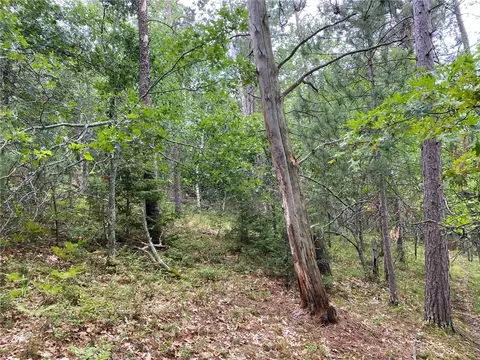 0 E Whippoorwill Ln, Wascott, WI 54890 photo 8