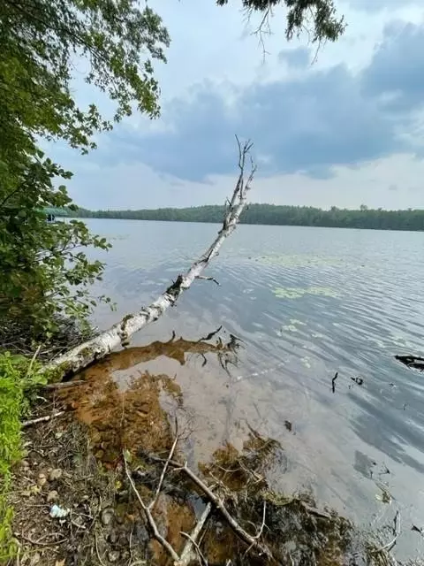 w3943 Devils Lake Road, Sarona, WI 54870