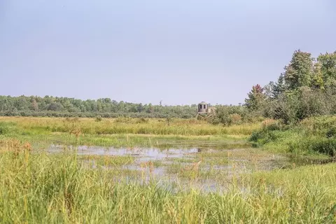 5451 N Helsing Rd, Radisson, WI 54867 photo 38