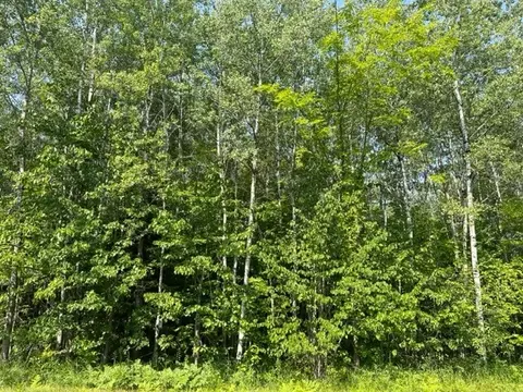 7189 N County Hwy W, Winter, WI 54896