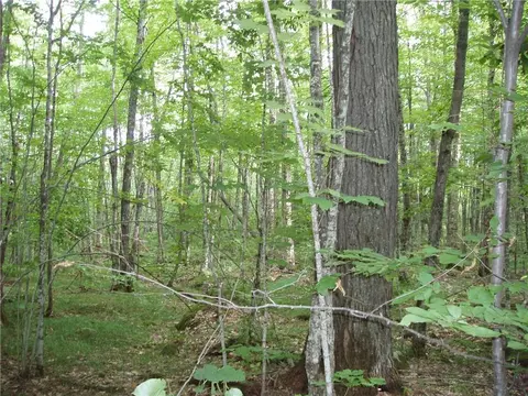 40 A Off Bear Lake Rd, Butternut, WI 54514