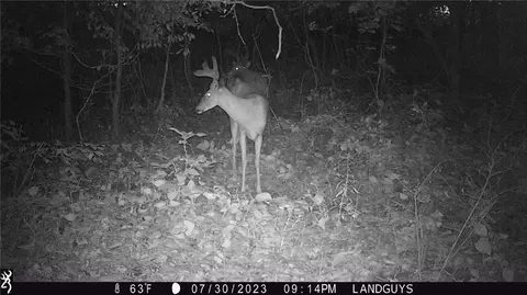 0 50th St, Frederic, WI 54837 photo 17