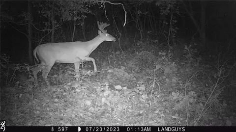 0 50th St, Frederic, WI 54837 photo 3