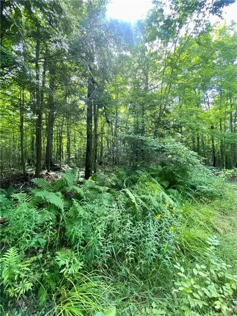 0 Blueberry Fire Ln, Radisson, WI 54867