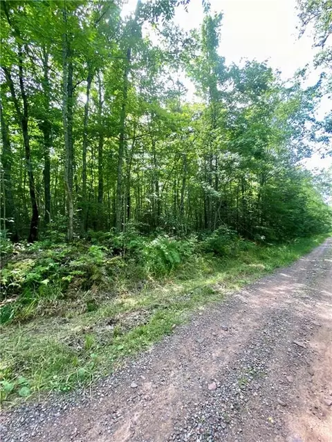 0 Blueberry Fire Ln, Radisson, WI 54867 photo 3