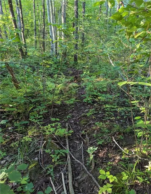 00 Beaver Brook Rd, Radisson, WI 54867 photo 18