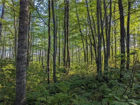 00 Beaver Brook Rd, Radisson, WI 54867 photo 32