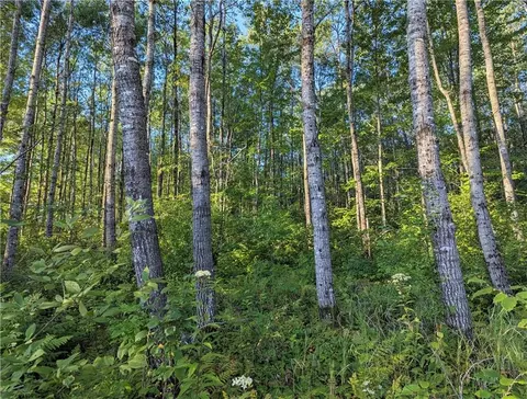 00 Beaver Brook Rd, Radisson, WI 54867 photo 28