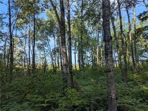 00 Beaver Brook Rd, Radisson, WI 54867 photo 40