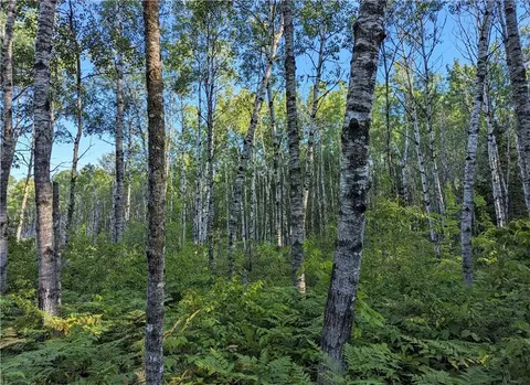 00 Beaver Brook Rd, Radisson, WI 54867 photo 35